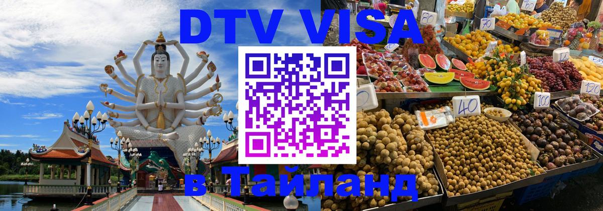 Сколько стоит DTV виза — актуальные цены, оформление даже без документов - Реутов 